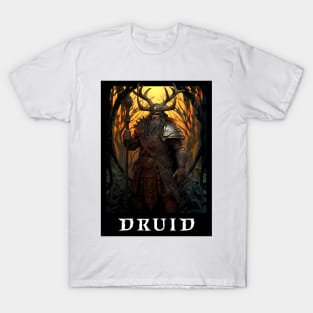 Diablo Druid T-Shirt